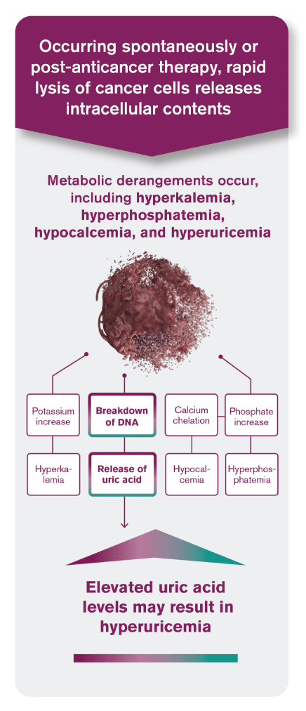 Rapid cancer cell death releases intracellular contents, leading to metabolic derangements that include hyperkalemia, hyperphosphatemia, hypocalcemia, and hyperuricemia. Elevated uric acid levels may result in hyperuricemia.
